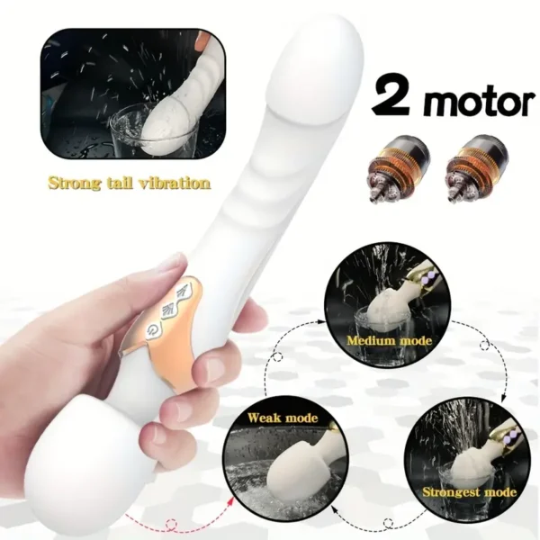 LEA Vibrateur Double Moteur
