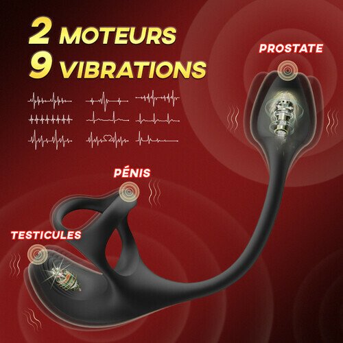 5 Arnaud-Plug anal